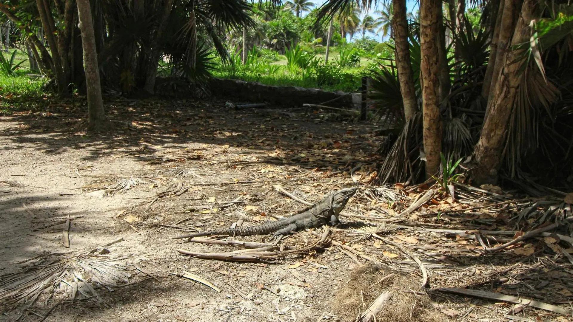 Holiday home Giada Towers 313A Villa Tulum